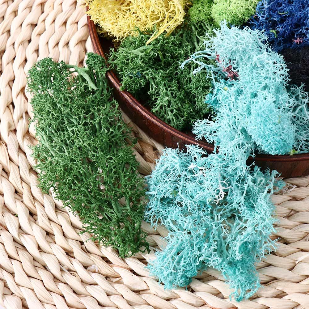 Living Room Fake Flowers Green Plants Artificial Plants Eternal Moss Moss Garden Decoration