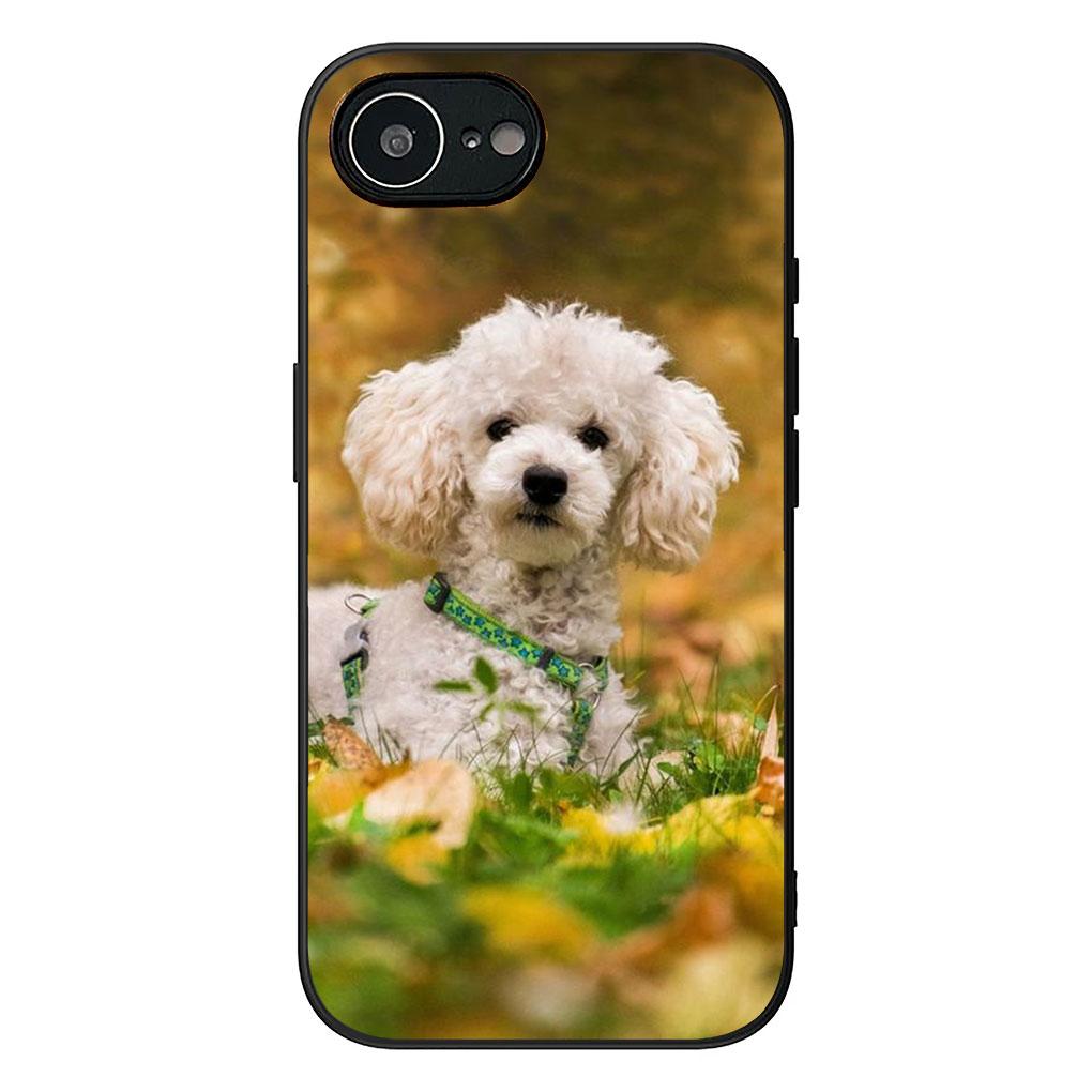 Soft Cover for Samsung Galaxy S22 S21 S20 FE Ultra Plus A35 A36 A55 A37 A33 A34 A57 Coque Phone Case Pomeranian Poodle Dog
