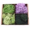 1 Bag Simulation Moss Vibrant Realistic Doll House Artificial Moss Green Plants for Miniature Scenes DIY Projects