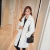Autumn and Winter New Imitation Fur Imitation Mink Coat Women's Medium and Long Plush Coat Warm Thickened Coat