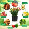 10Pack 3/5/7/10/Gallon Fabric Root Pots Home Garden Smart Plant Grow Bags UK