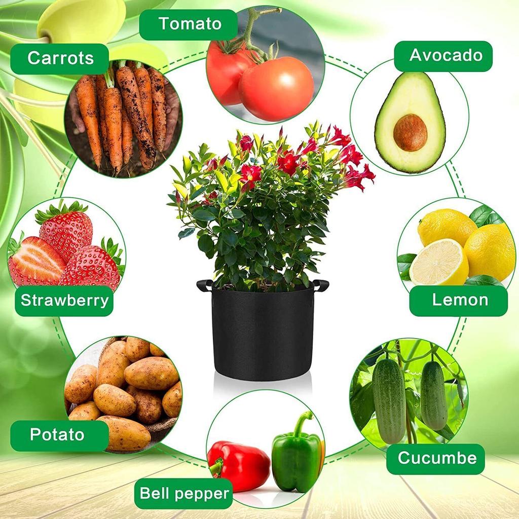 10Pack 3/5/7/10/Gallon Fabric Root Pots Home Garden Smart Plant Grow Bags UK