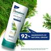 Himalaya Кондиционер с маслом чайного дерева против перхоти для всех типов волос 80 мл – Питает, Разглаживает, Уменьшает ломкость, Делает волосы мягкими и здоровыми