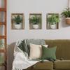Removable Wall Mural DIY Wall Art NEW Potted Plant Decals  Home Decor