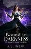 Книга Bound In Darkness