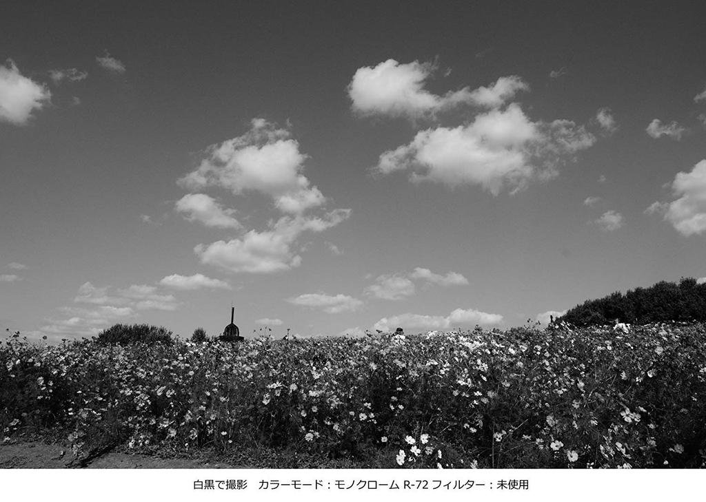 Фильтр камеры Kenko PRO1D 77 мм для монохромной фотографии 327708 R-72