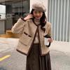 Short Lamb Wool Coat for Women In Spring and Early Spring, New Popular Style for Small People, Unique and Super Good-looking Tops