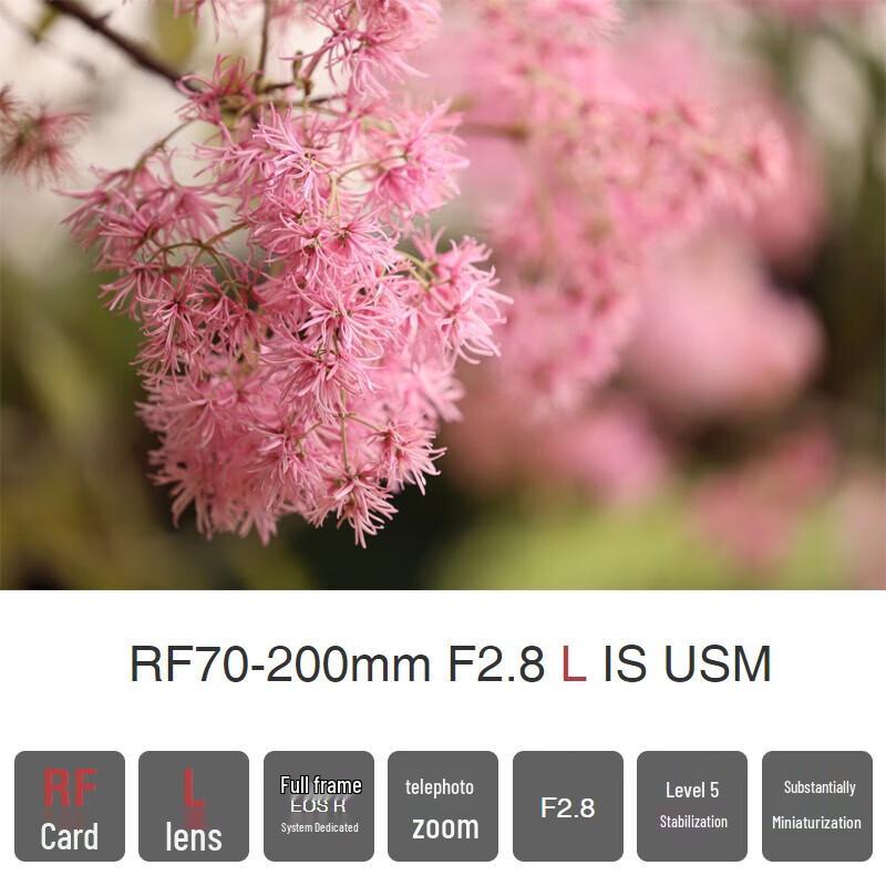 Canon RF F2.8 L IS USM Pro Зум-объектив Набор «Троица»