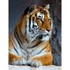 5D DIY алмазная живопись животное горный хрусталь Тигр Алмазная вышивка настенная картина мозаика украшение дома подарок ручной работы комплект