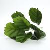 Artificial Pothos & Monstera Leaves Wall Decor for Living Room - Small Potted Greenery Arrangement