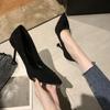 High Heels Women's Spring and Autumn Models Pointed Toe Thin Heel Black Professional Work Shoes Medium Heel College Student Etiquette Shoes