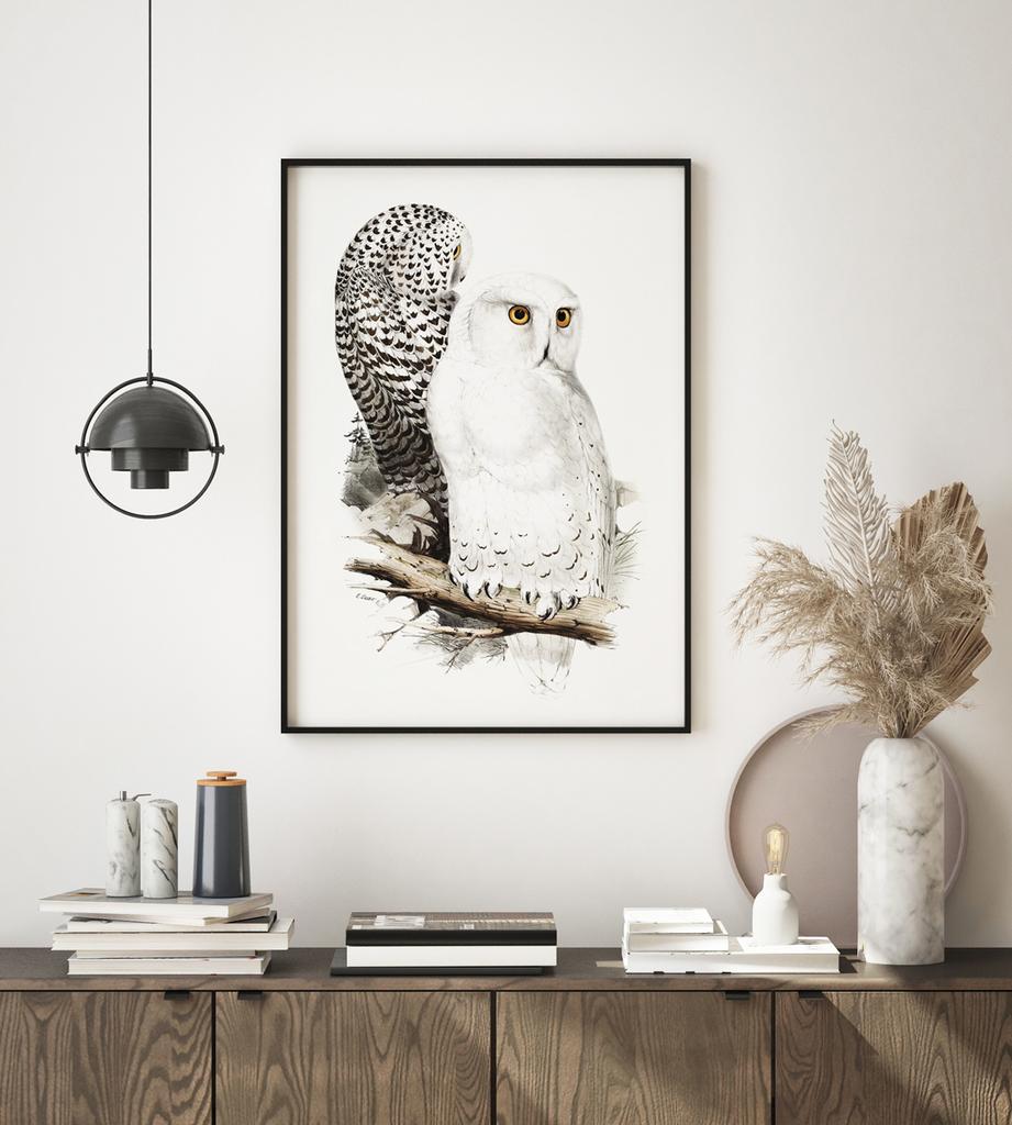 Poster Owl Owls Vintage