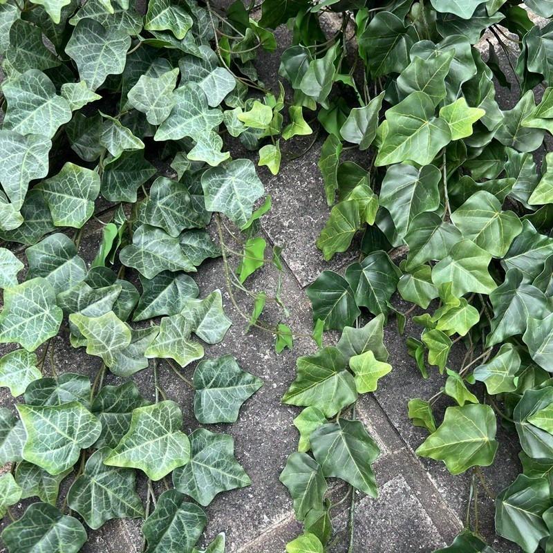 1 шт. Имитация 25,6-дюймовой лозы плюща с листьями батата, приятная на ощупь, для подвешивания на стену