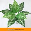 Persian Style Green Wall Hanging Grass Decoration for Indoor & Balcony Background
