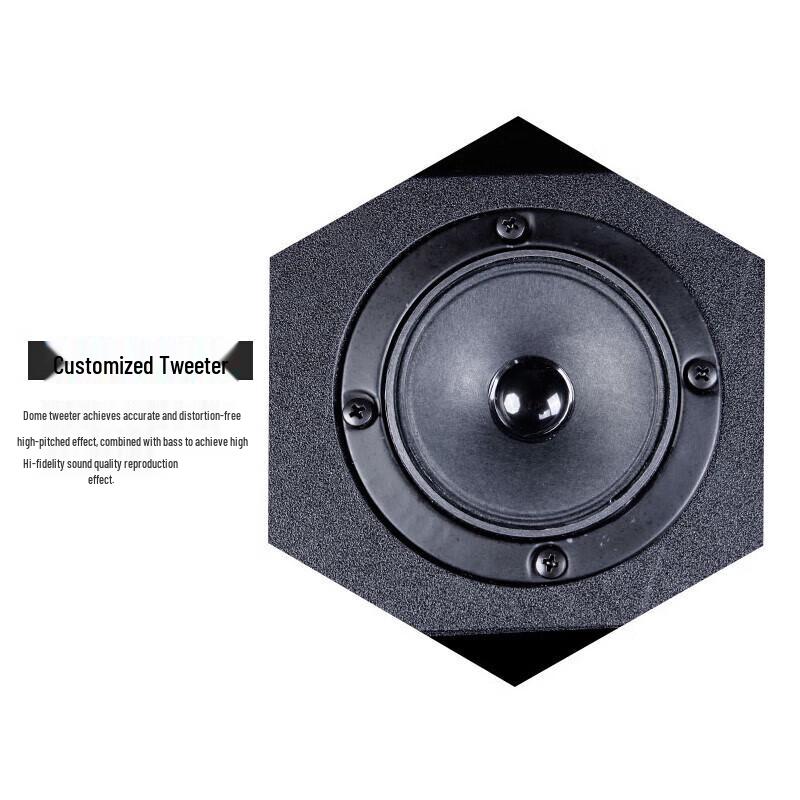 Профессиональные пассивные акустические системы SAST для KTV и конференций