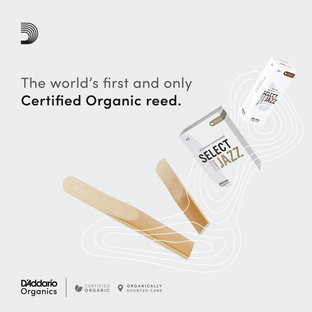 WoodWinds Select Jazz Field Трости для саксофона-альта USDA Organic ORSF03ASX3S D'Addario, Сертифицированные, [Жесткость 3S], Упаковка 3 шт.