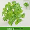 Persian Style Green Wall Hanging Grass Decoration for Indoor & Balcony Background