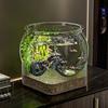 Ultra Clear Round Fish Bowl Plastic Removable Desktop Fish Tank Ultra Clear Viewing Tank Small Aquarium Tabletop Ornament