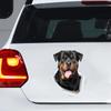 Personality Decal Rottweiler Dog Waterproof Car Sticker Decorative Accessories