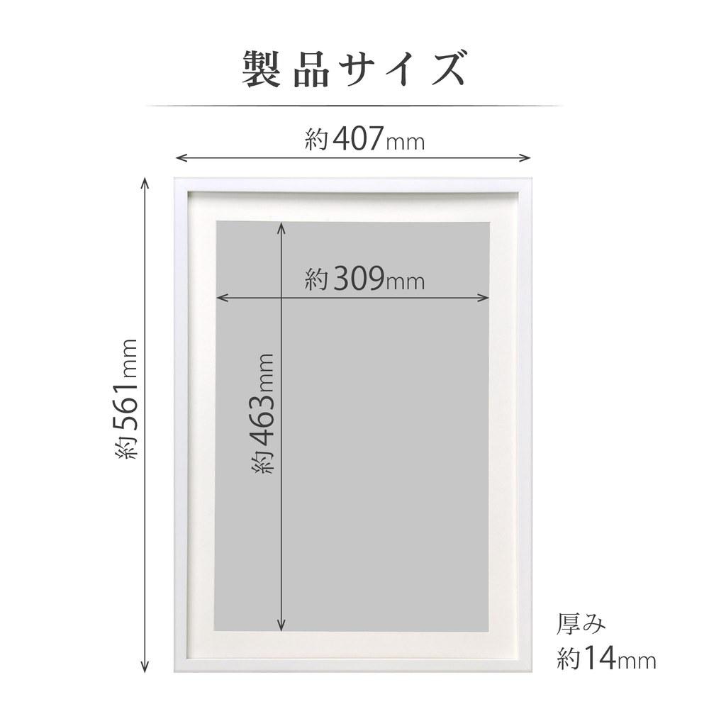 Hakuba Acrylic Frame MM-01 A3 Nobi Wooden Frame White FWMM01-WTA3N