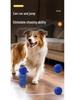 Electric Dog Toy: Bouncing Ball and Chewable Leash - Ultimate Self-Entertaining Pet Gadget.