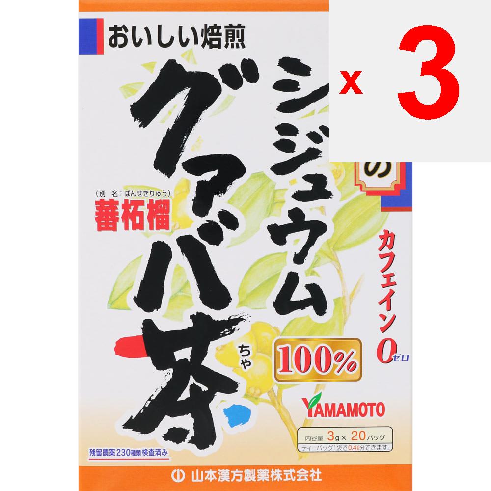 Yamamoto Kampo Seiyaku Shidium Guava Tea 100% 3gx20H Year-round Health Tea Year-round