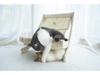 All-in-One Cat Bed: Climbing Frame, Nest, and Scratching Board Sofa - Sisal, No Dandruff, Summer-Ready