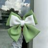 Vehicle Decoration Electric Bicycle Bowknot Universal Motorcycle Helmet Decor  Cycling