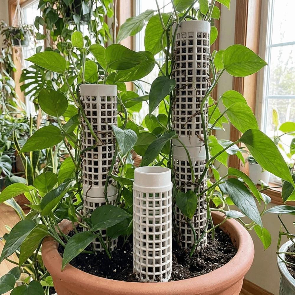 6PCS Interlocking Vine Climbing Column Sturdy Vine Fixed Support Frame Moss Stick  Garden