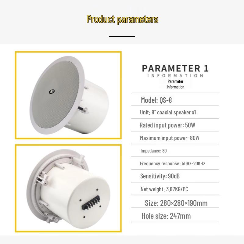 JZQS-8 Embedded Surround Sound Speaker