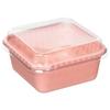 Edogawa Bussan PAX Deli Food Case, Deep, 5-Pack, DF-304, Pink, 12 X 16 X 7.5cm