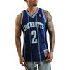 Mitchell Ness x Nba Charlotte Hornets 94 Larry Johnson Swingman Alt tank top SMJYAC18008-CHOPURP94LJO