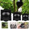 10Pcs Plant Root Growing Box Sturdy Structure Anti-deform Plastic Propagation Ball Plant Asexual Reproduction Devices for Garden