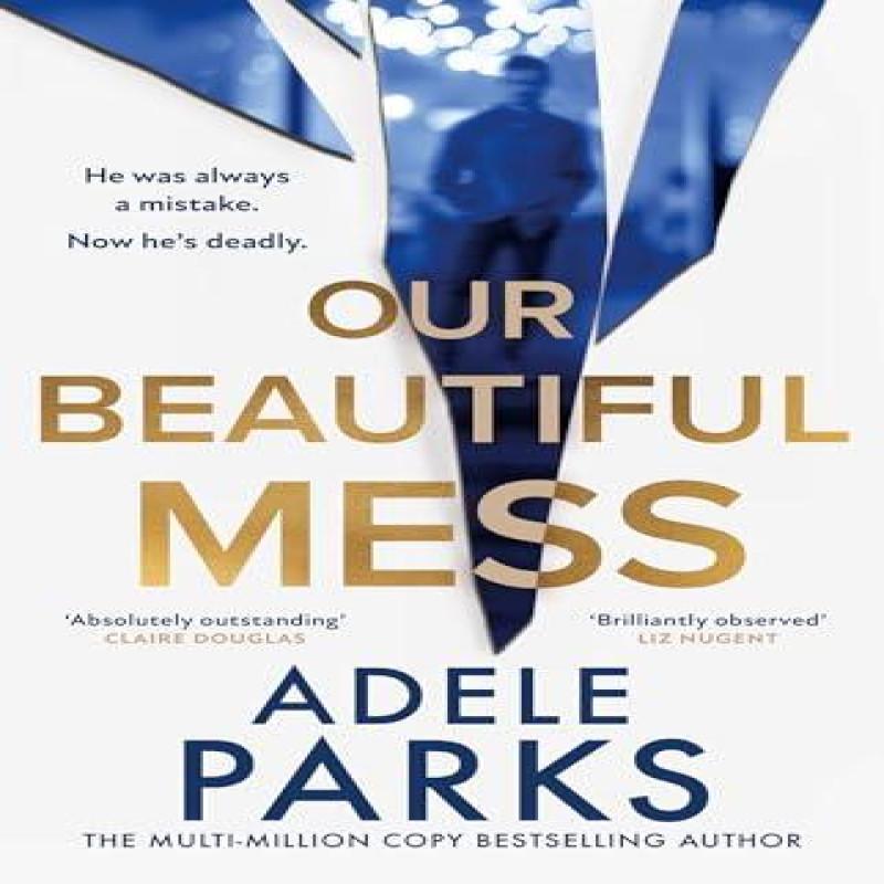 Our Beautiful Mess by Adele Parks Hardback Book 9780008586379
