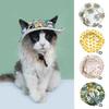Cartoon Dog Sunshade Hats Adjustable Pet Sun Hat Pet Outdoor Hat Dog Fisherman Hat  for Cats Dogs