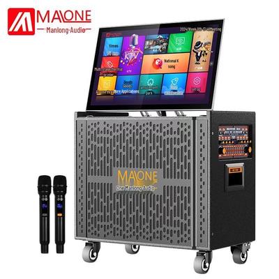 Портативная KTV колонка MALONE с 18,5-дюймовым дисплеем, вилка CN (адаптер в комплекте)