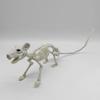 Halloween Animal Skeletons Dog Bat Frog Scorpion Spider Snake Rat Bone Skeletons for Halloween Party Haunted House Graveyard Scene Decoration