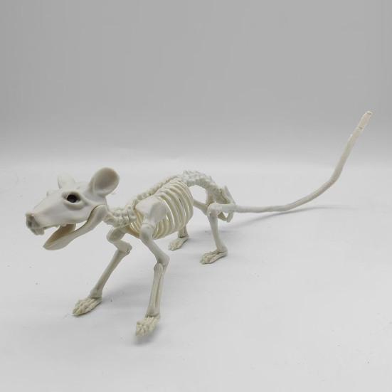 Halloween Animal Skeletons Dog Bat Frog Scorpion Spider Snake Rat Bone Skeletons for Halloween Party Haunted House Graveyard Scene Decoration