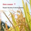 Enshi Long-Grain Selenium-Rich Rice 2.5kg