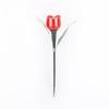 5-pack tulip design plastic