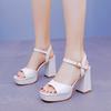 Women Party Evening Wedding Shoes for Women Summer Fashion Women Platform Super High White Peep Toe Sandals Plus Size 34-42