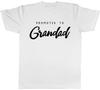 Promoted to Grandad Unisexs TShirt Tee