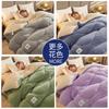 Winter Thickened Lamb Wool Quilt Double-Sided Fleece Warm Quilt Student Dormitory Single Double Bed Household Bedding