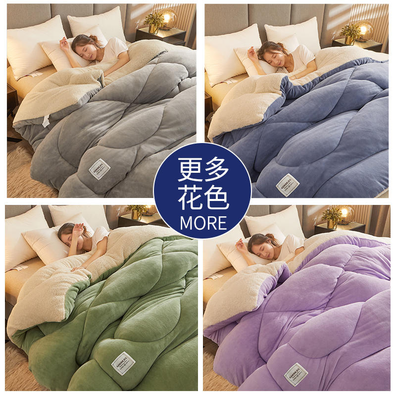 Winter Thickened Lamb Wool Quilt Double-Sided Fleece Warm Quilt Student Dormitory Single Double Bed Household Bedding