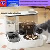 Automatic Cat Feeder & Water Dispenser: 2-in-1 Pet Feeding Bowl.