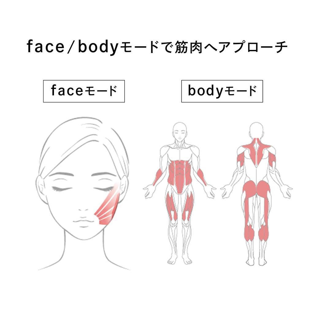 [Эксклюзив из официального магазина] ReFa CARAT LIFT с сумкой для покупок