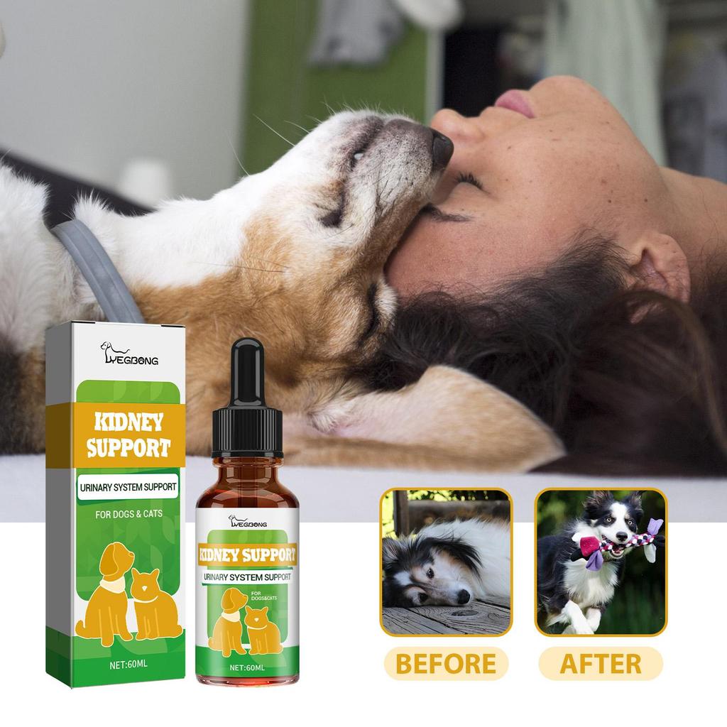 YEGBONG Pet Nutritional Supplement Enhanced Energy Vitality Supplement for Dogs and Cats Pet Body Care