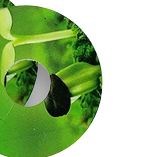 10 листов этикетки для гидропонных растений, самоклеящиеся ПВХ круглые корзины для гидропоники, стручки для выращивания растений