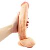 MoDi Lifelike Dildo Anal Sex Toys Men Women Sex Toys