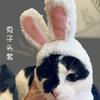 Милая Собачья Шляпа с Ушками Кролика Костюм Плюшевого Бишона Трансформация Головной Убор для Питомца Кошки Модные Аксессуары для Селебрити
